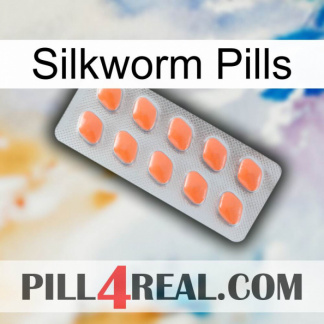 Silkworm Pills 26